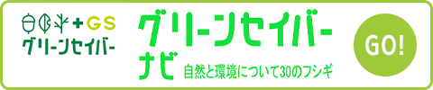 グリーンセイバーナビ