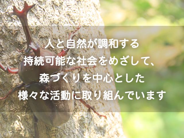 人と自然が調和する 持続可能な社会をめざして、 森づくりを中心とした 様々な活動に取り組んでいます