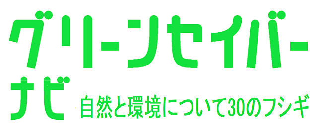 グリーンセイバーナビ