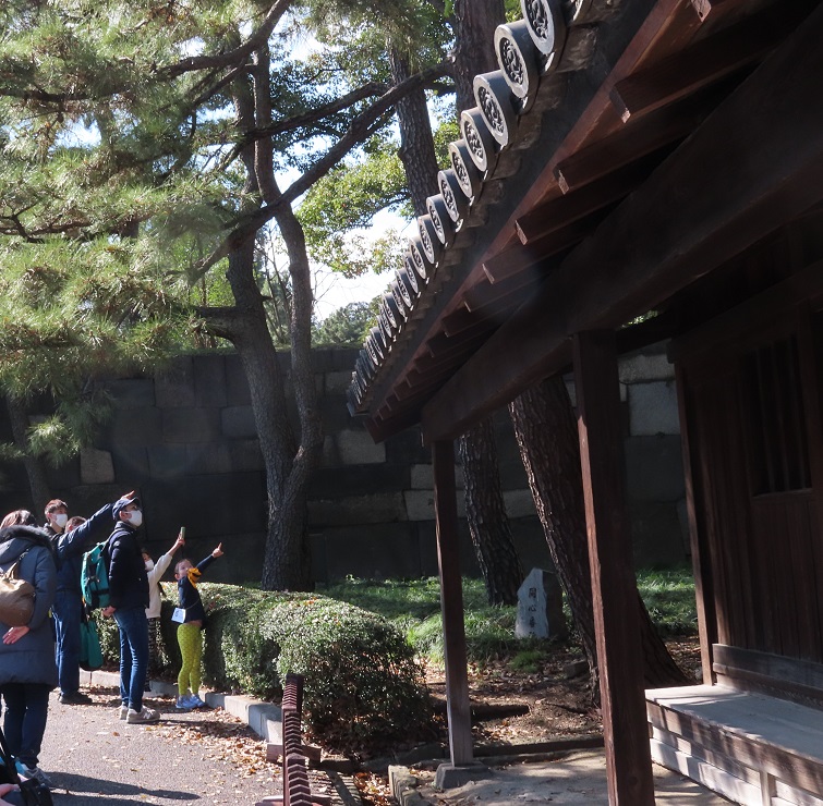 みんなの自然体験プログラム 22年3月13日 日 東御苑 ススメ 子ども忍者 江戸城 樹木 環境ネットワーク協会